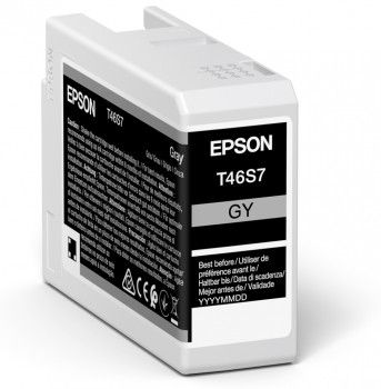 Epson T46S7 Gray - originálny